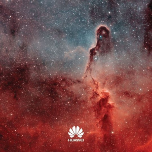 芬兰女人裸交HD
