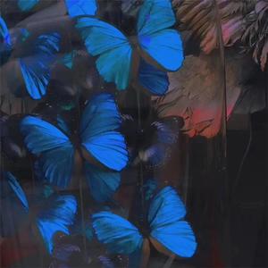 芬兰女人裸交HD
